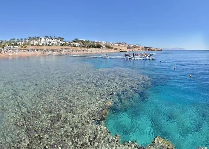 Daire Un Sogno Di Fronte Salato *
